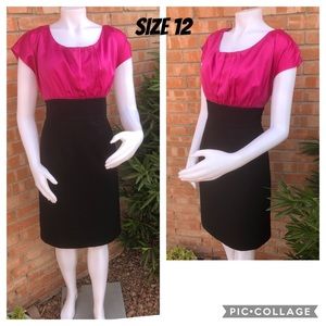 💗The Limited•Size 12•Sheath Dress•LIKE NEW💗